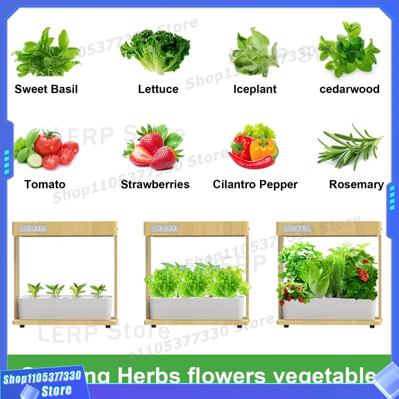 IGS-05 Smart Hydroponic Garden - огляд і ціна Indoor Herb Garden Kit