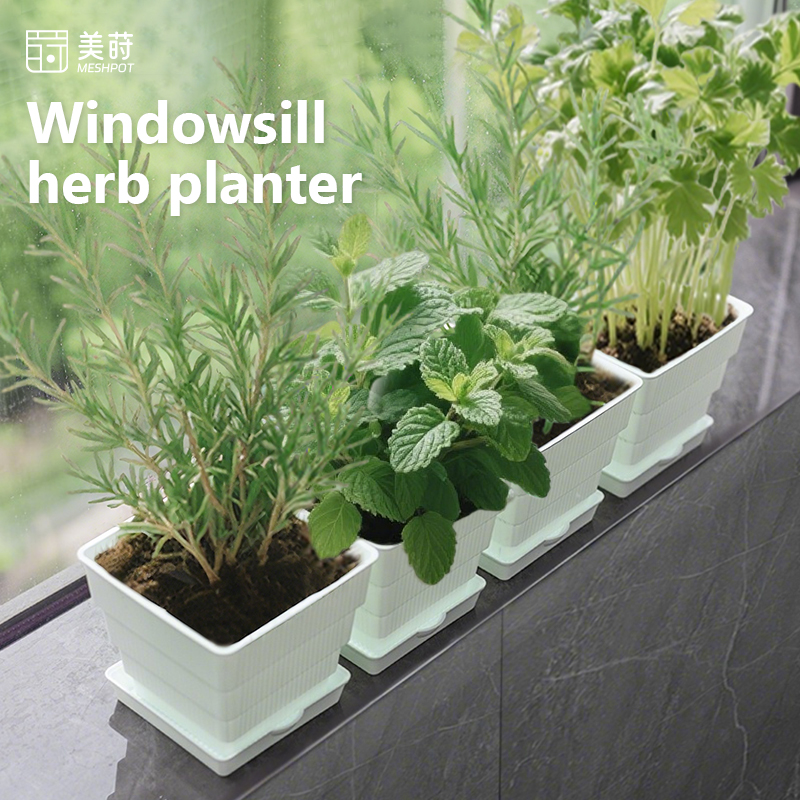 Meshpot Windowsill Herb Plante - огляд і ціна Indoor Herb Garden Kit