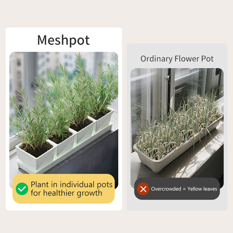 Meshpot Windowsill Herb Plante - огляд і ціна Indoor Herb Garden Kit