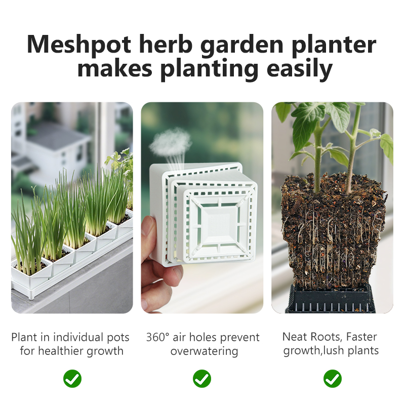 Meshpot Windowsill Herb Plante - огляд і ціна Indoor Herb Garden Kit