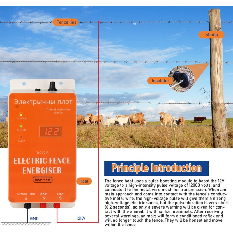 ABSJ-EU Plug 12V Smart Waterpr - огляд і ціна Smart Garden Fence