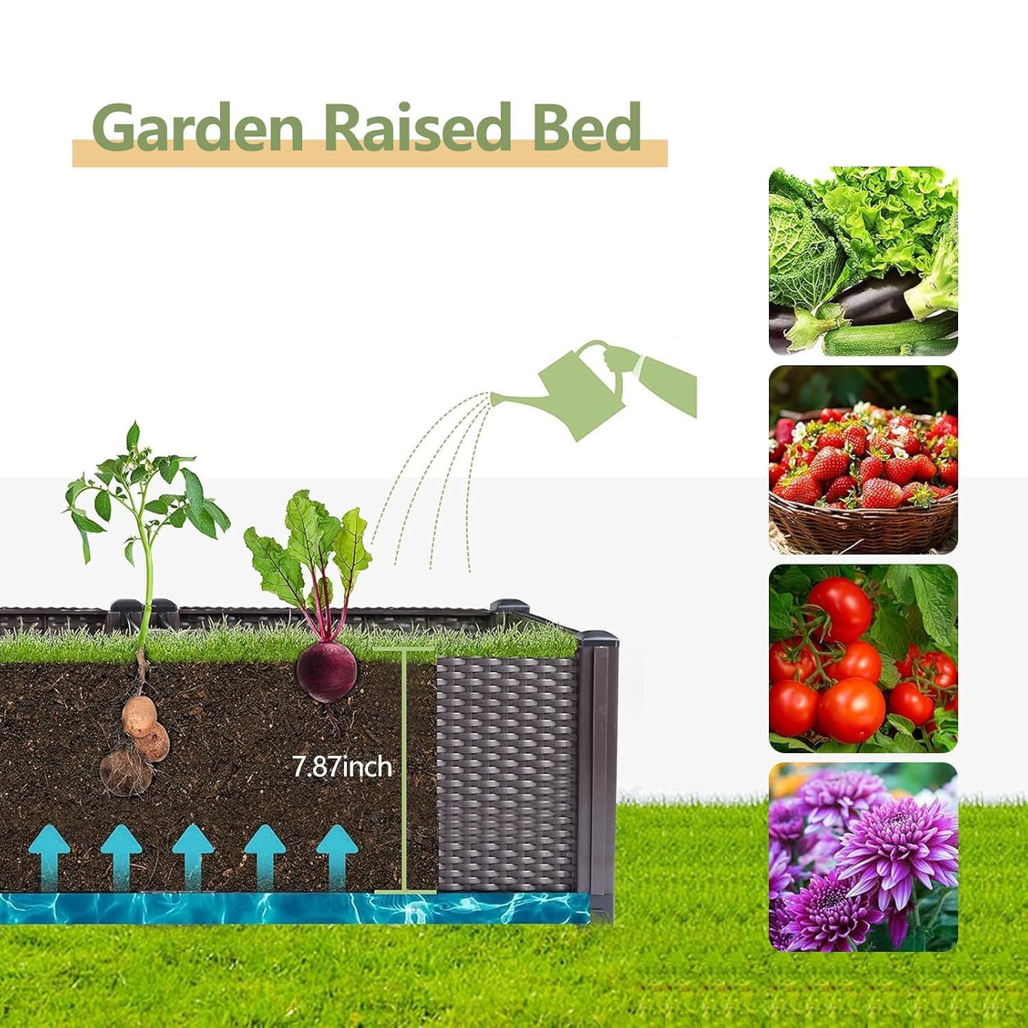 Self-Watering Raised Garden Be - огляд і ціна Indoor Herb Garden Kit