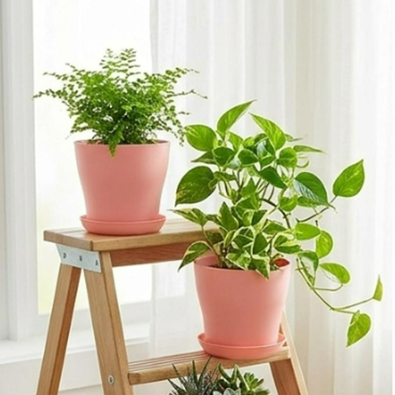 Plant Pot Set with Drainage Ho - огляд і ціна Indoor Herb Garden Kit