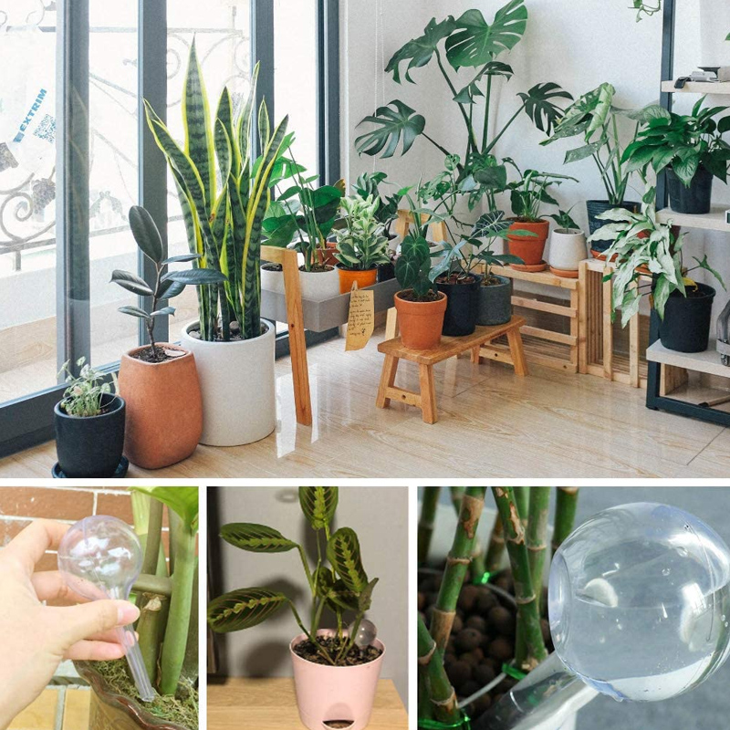 5/10PCS Automatic Plant Wateri - огляд і ціна Smart Garden Auk
